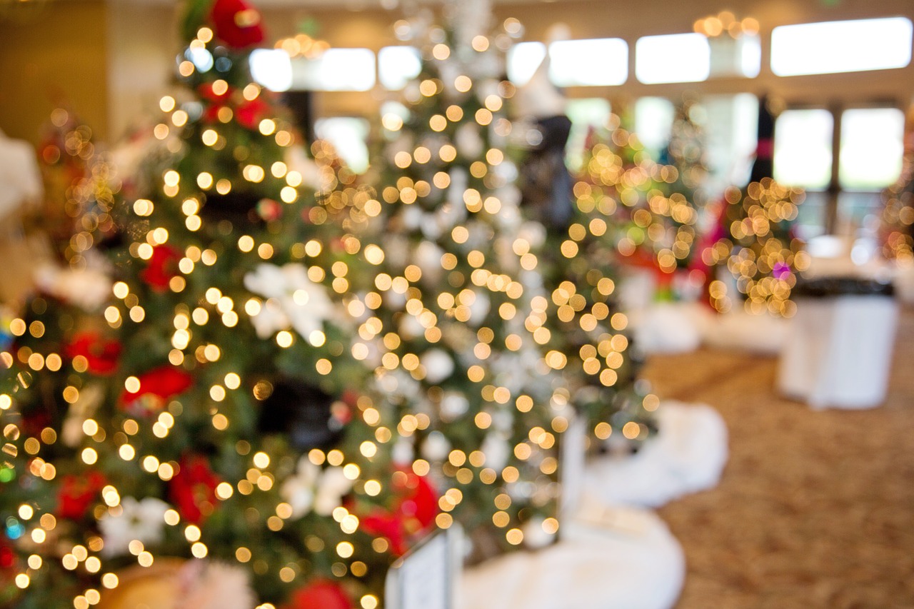 Image - christmas trees bokeh decoration