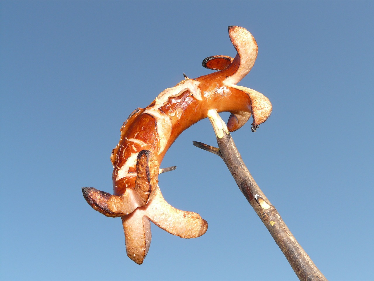 Image - bratwurst sausage red red sausage