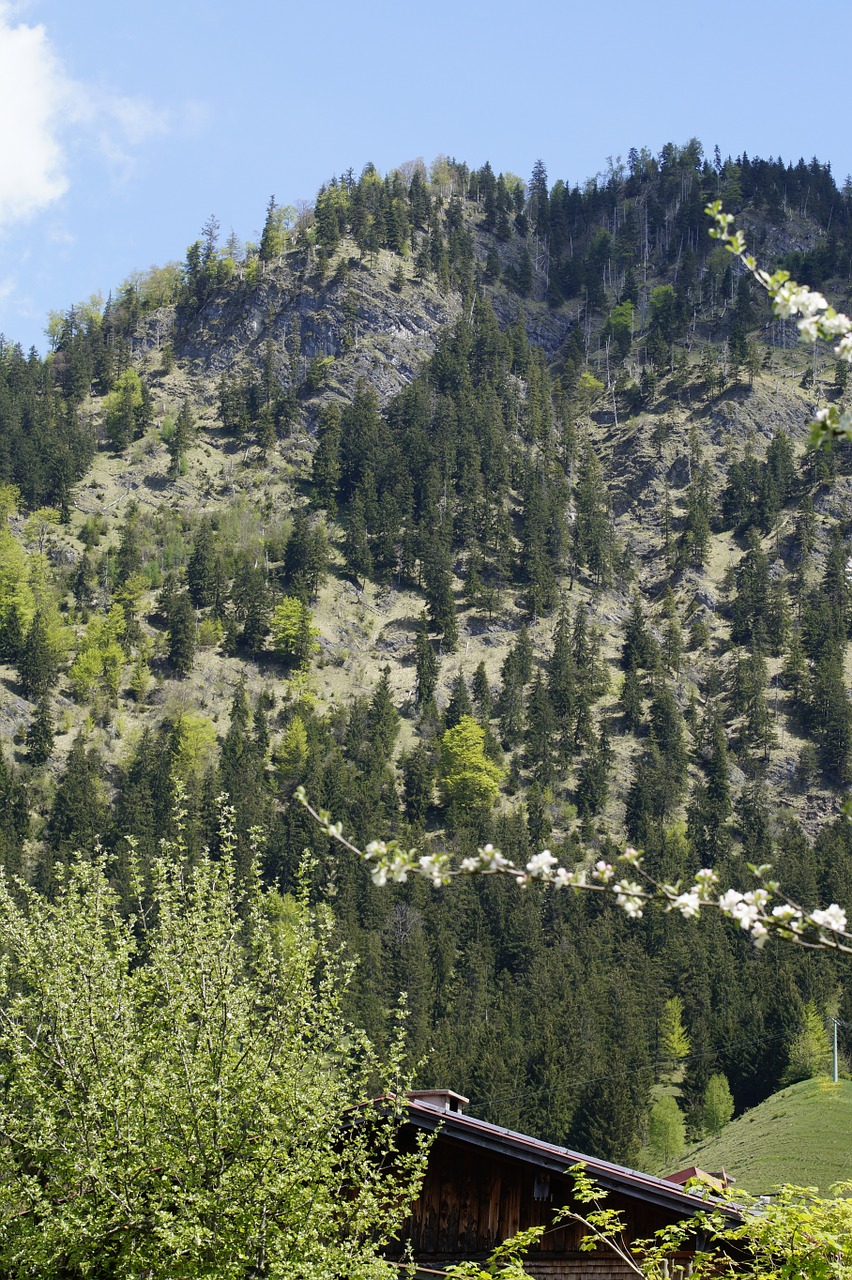 Image - mountain allgäu alpine landscape