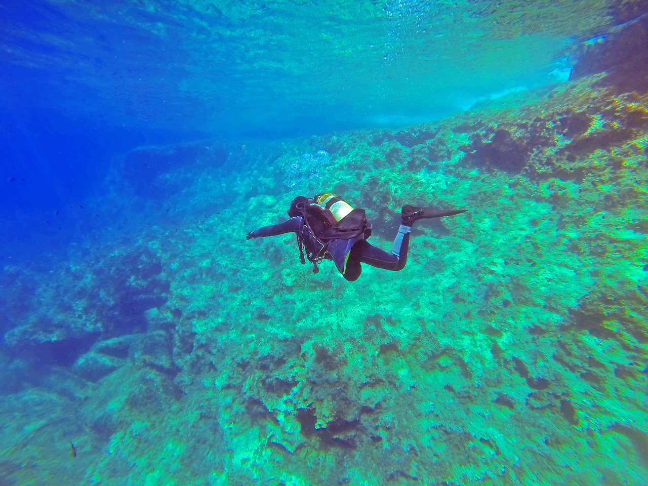 Image - scuba diver scuba diver padi water