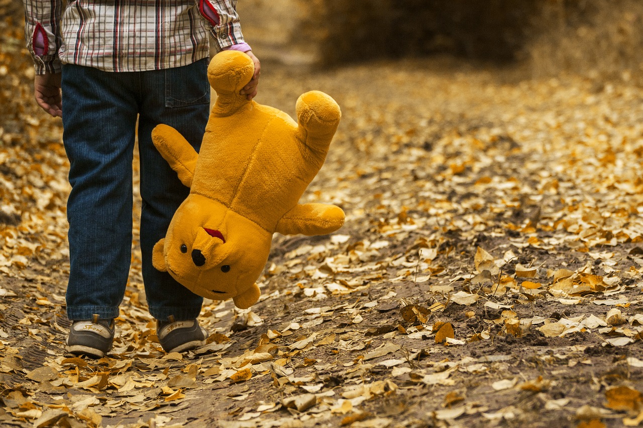 Image - child autumn bear leaves boy