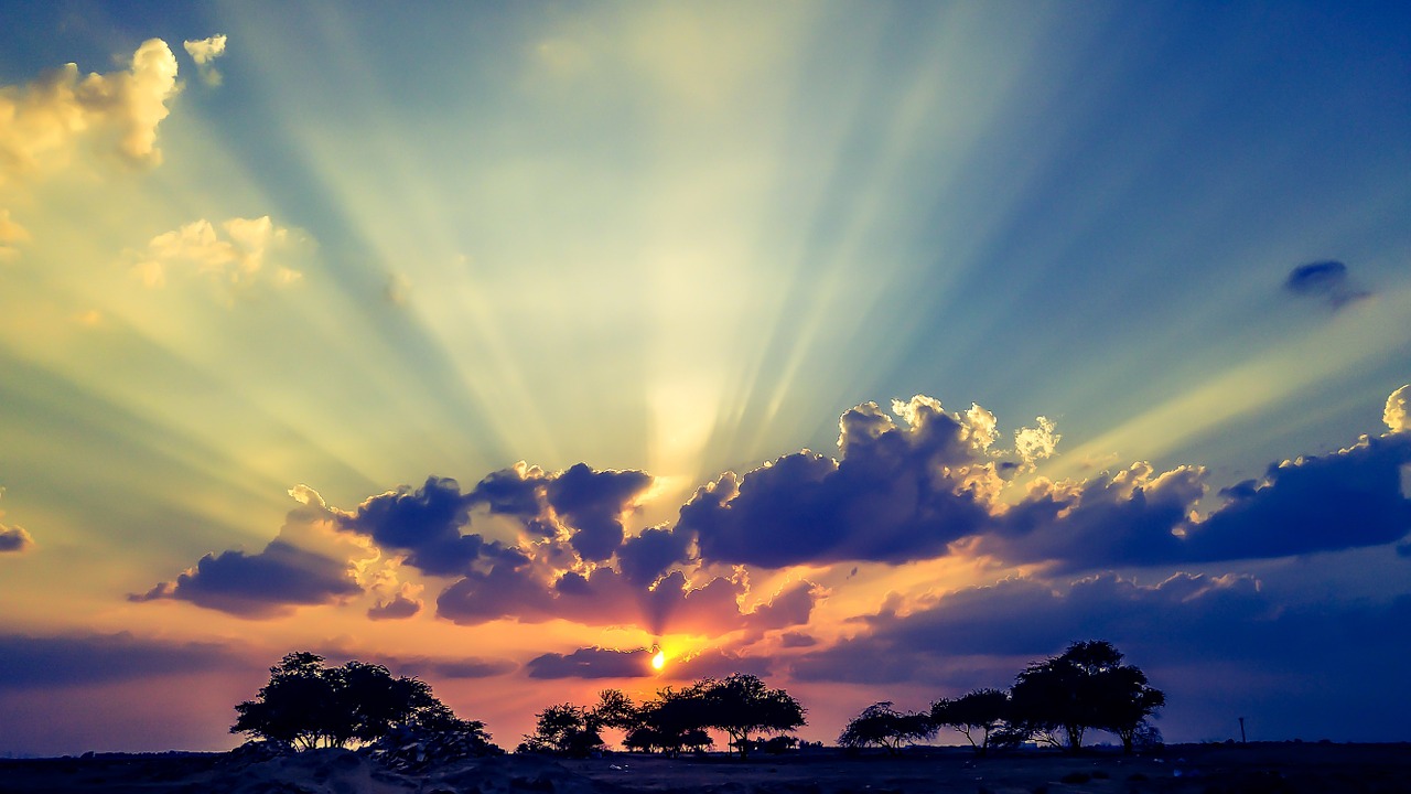 Image - sun sunset jungle trees clouds