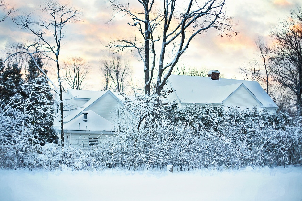 Image - snowy winter house cold nature