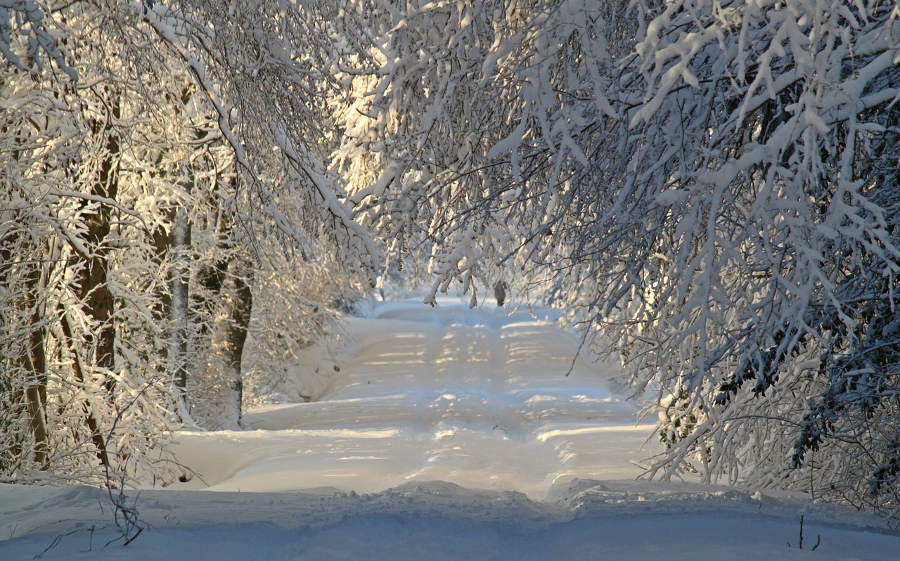 Image - winter wintry snow snow landscape