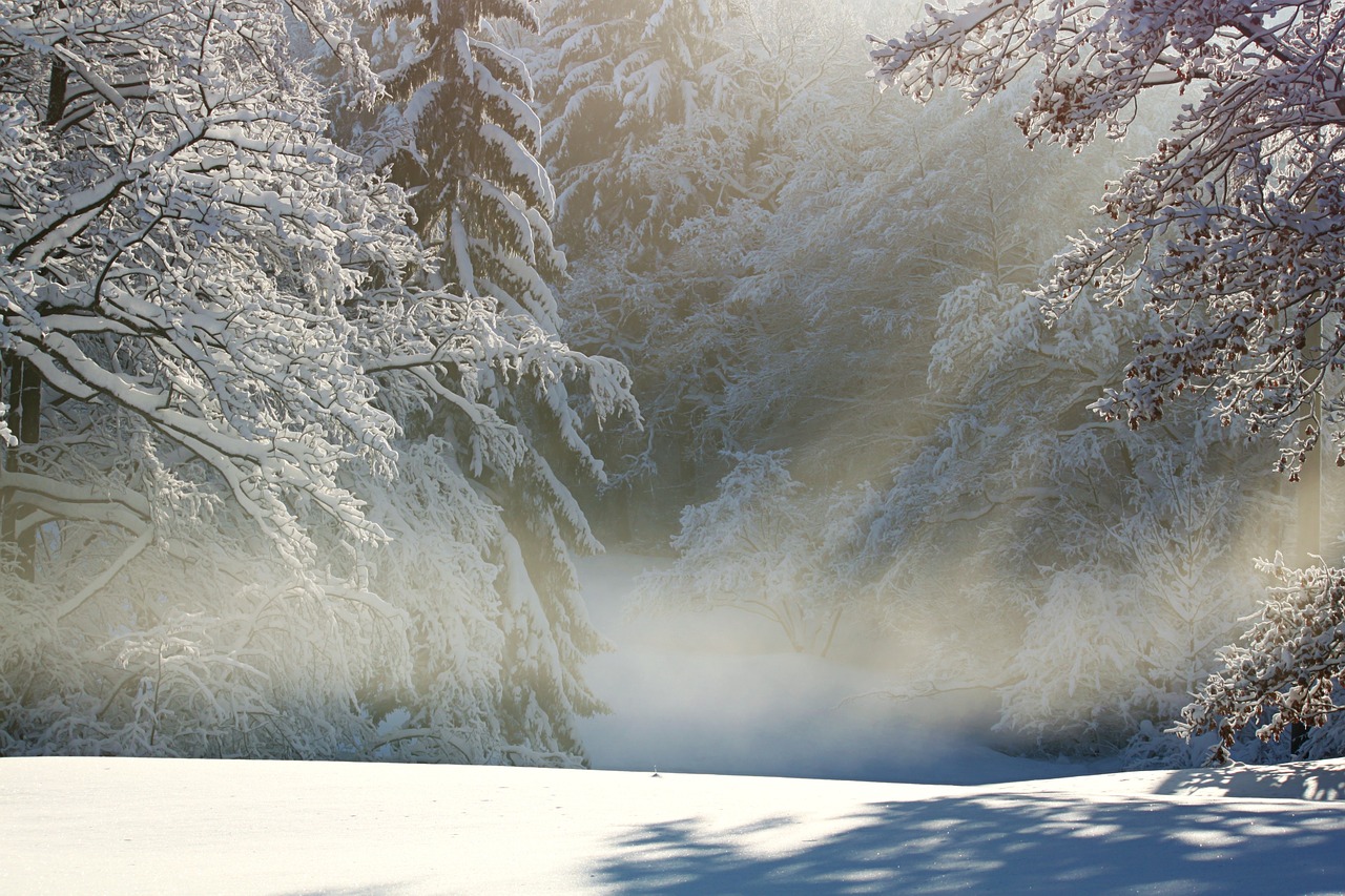 Image - winter wintry snow snow landscape