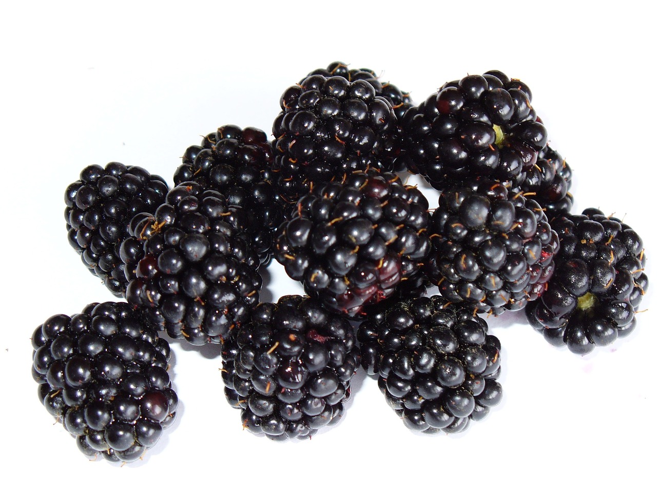 Image - blackberry bramble berry fruit