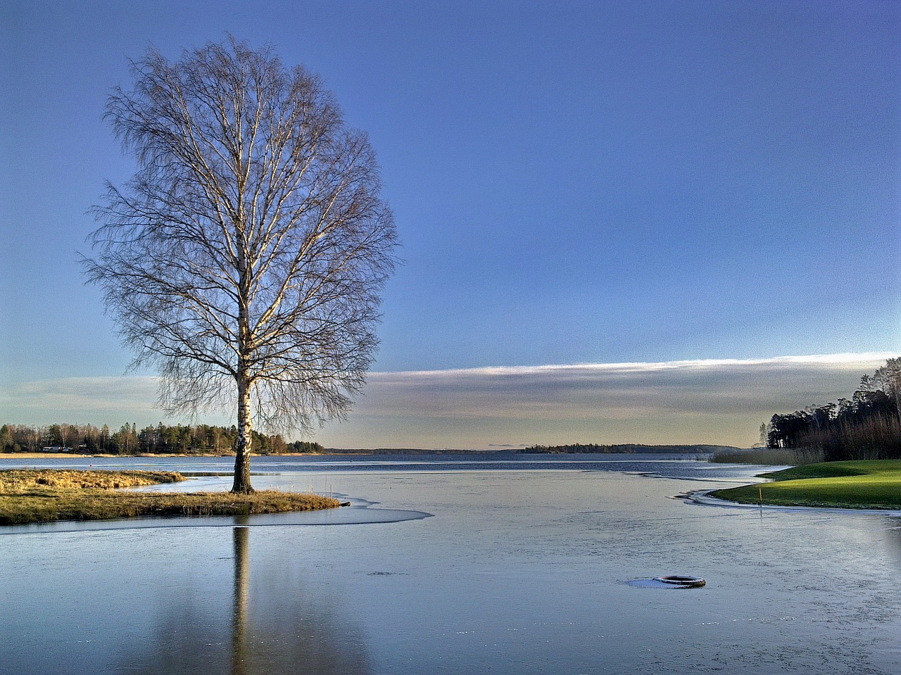 Image - winter lake tree golf course cold