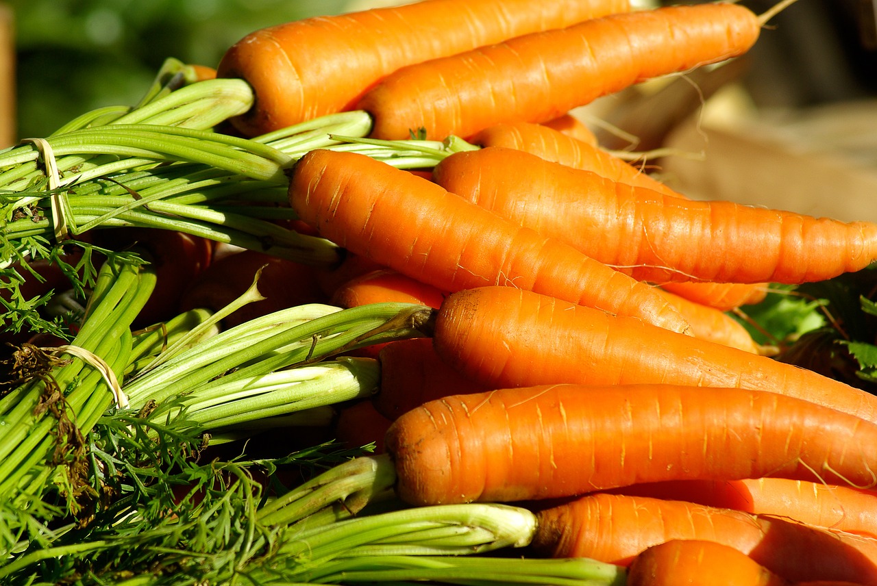 Image - vegetables carrots vegetable garden
