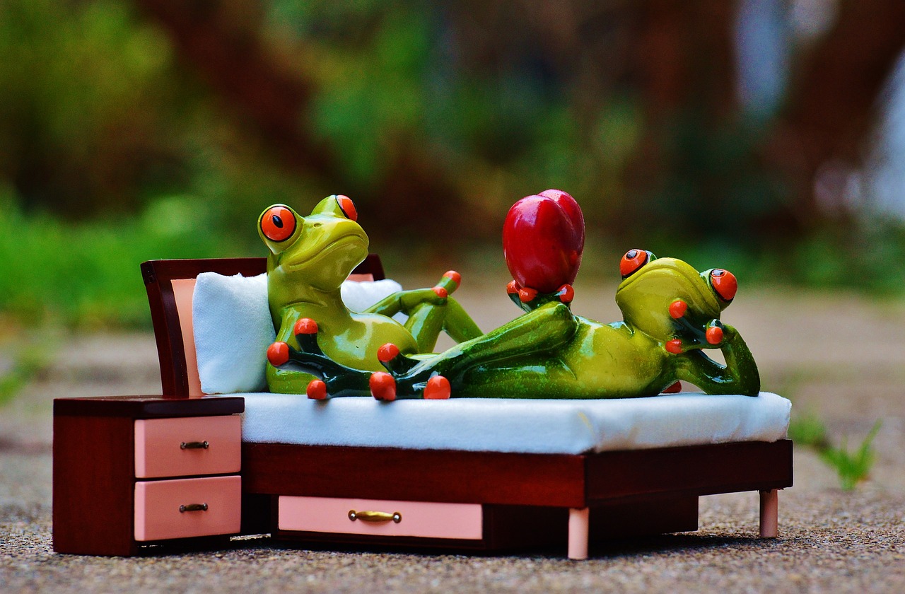 Image - frog love bed bedside table heart