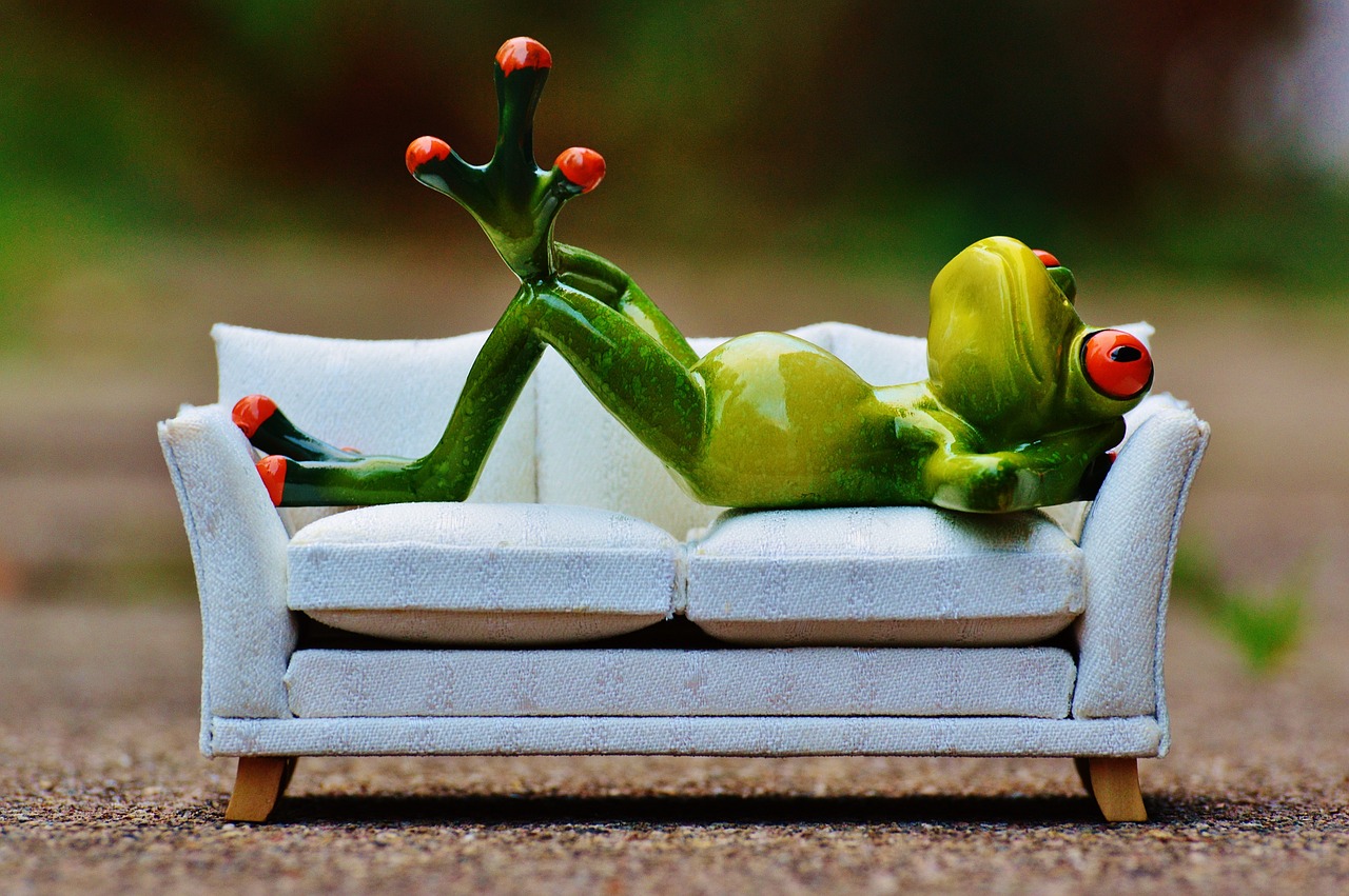 Image - frog sofa relaxation rest funny