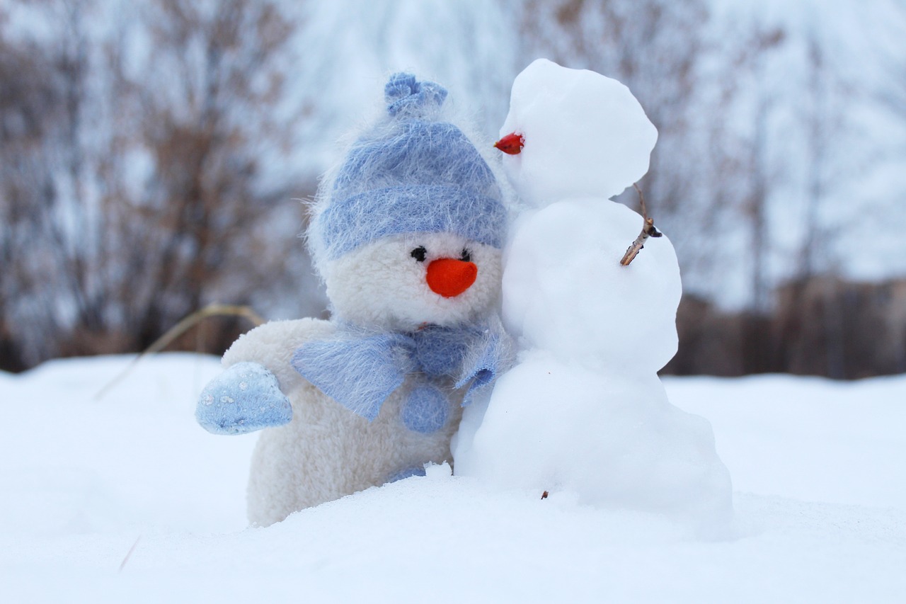 Image - snowman snow two winter friends