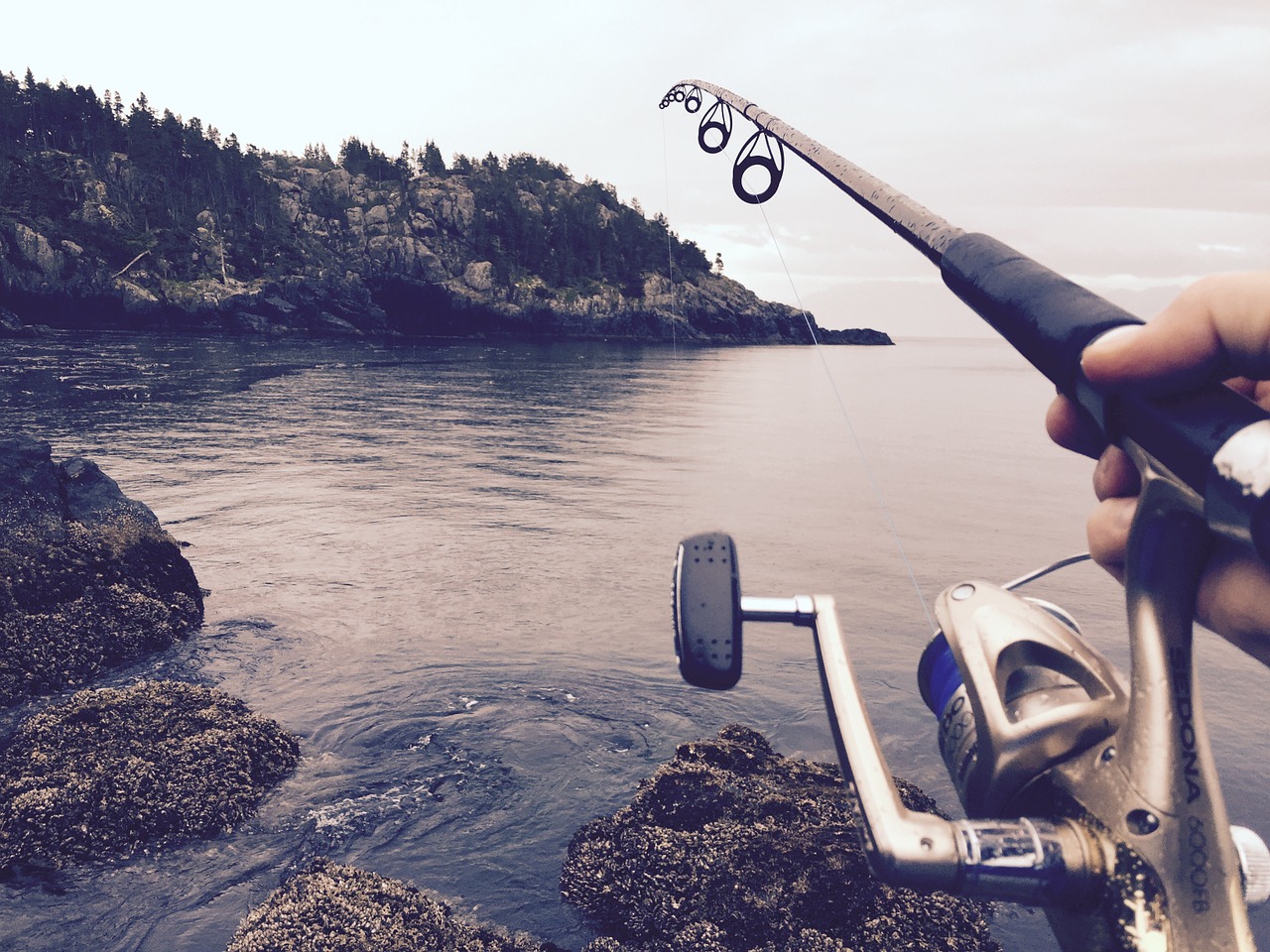 Image - fishing reel casting water river