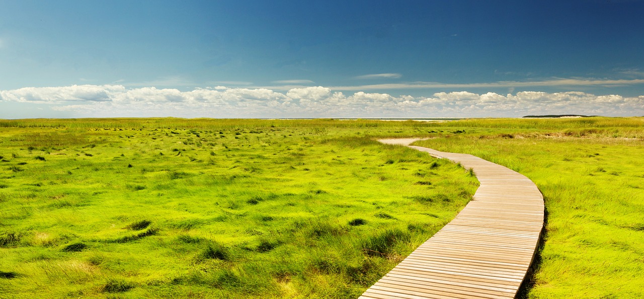 Image - pathway green grass nature