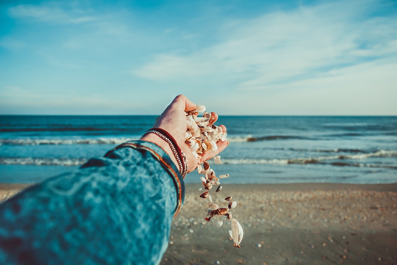 Image - seashells ocean hand shell sand