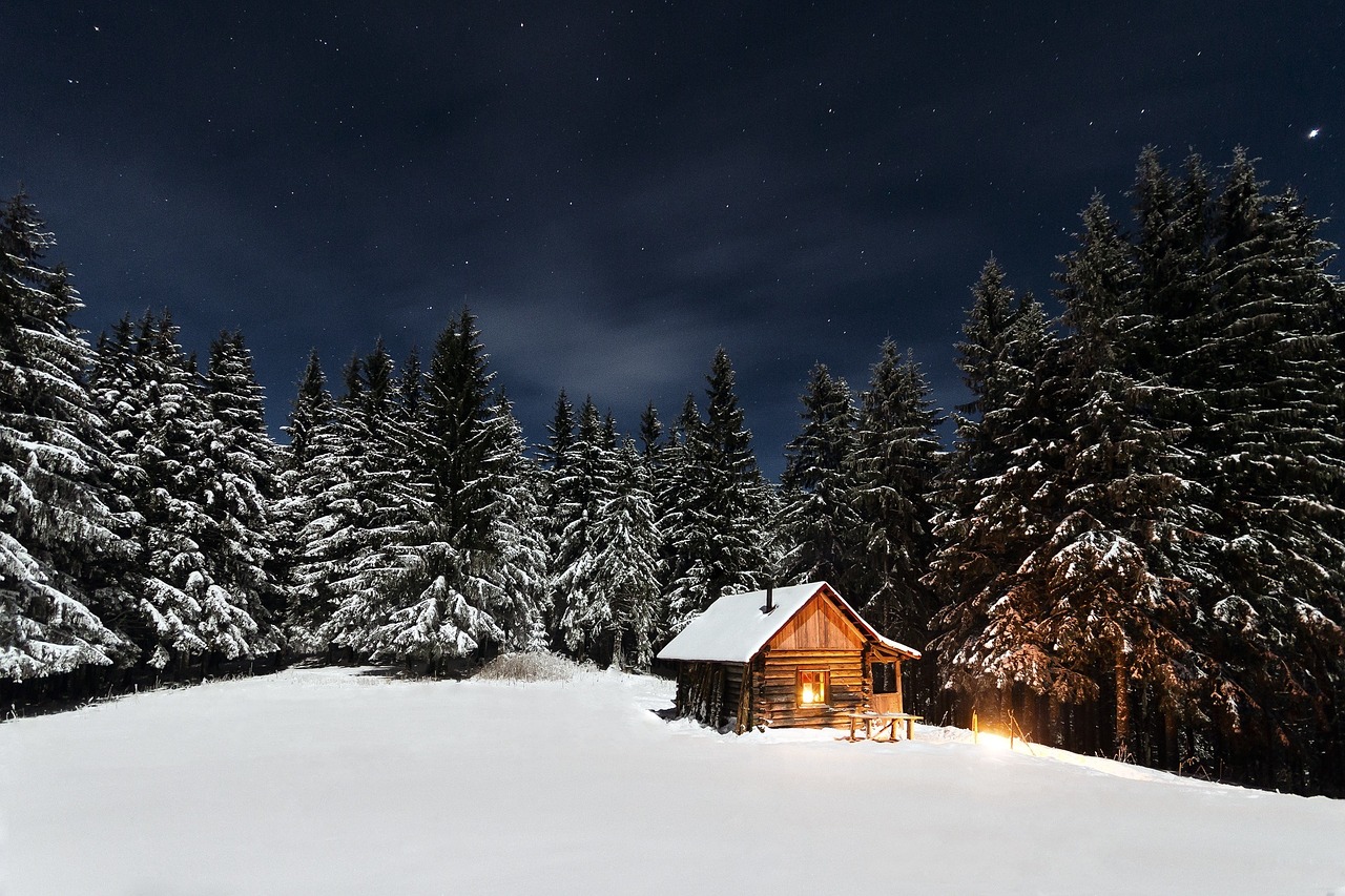 Image - cabin pine trees starry night