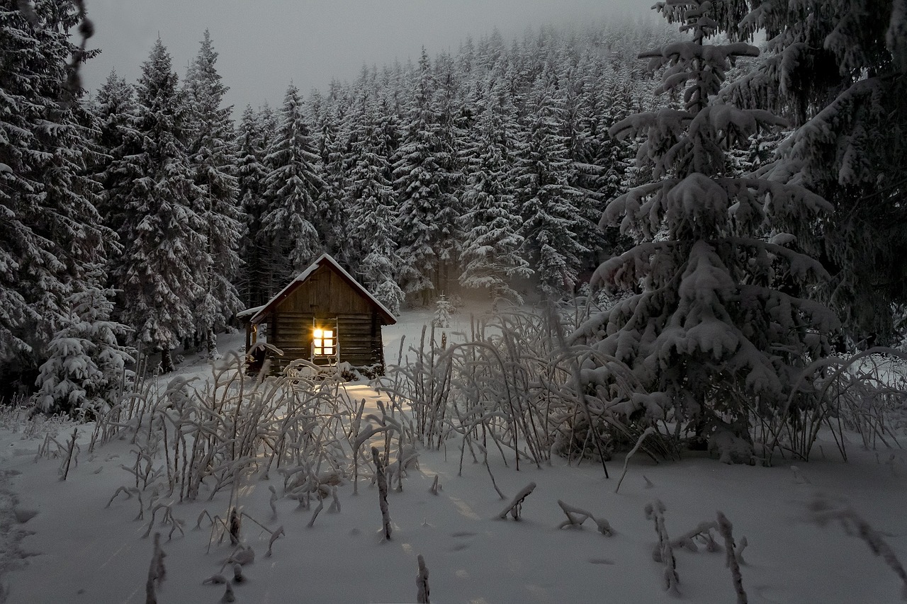 Image - cabin pine trees wilderness nature