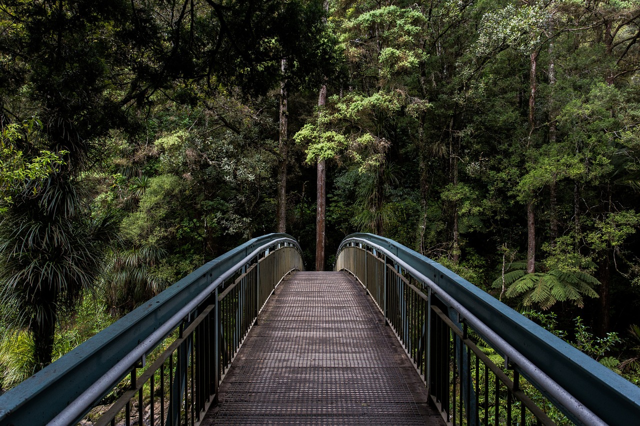 Image - bridge railings forest structure