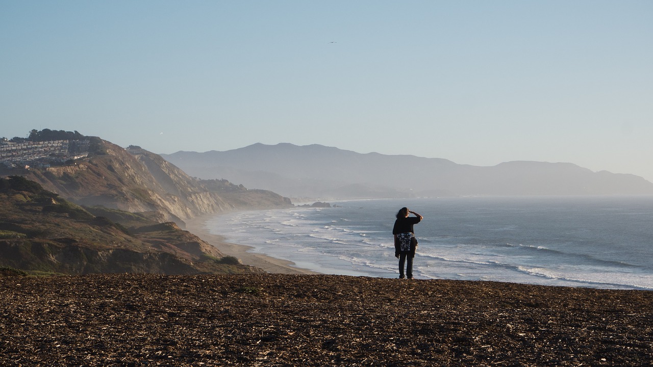 Image - coastline viewing person beach