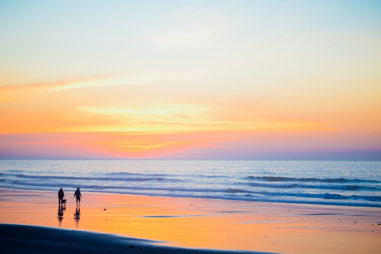 Image - sunset beach walking people dog