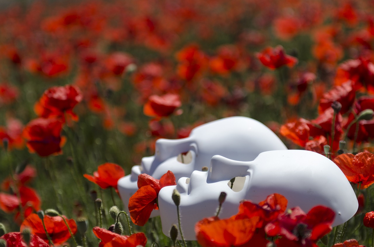 Image - mask poppies field red nature