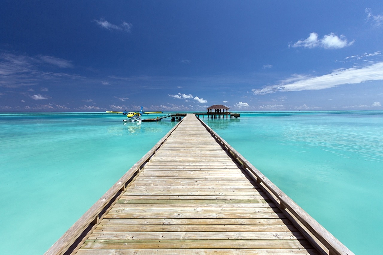 Image - dock pier ocean sea airplane