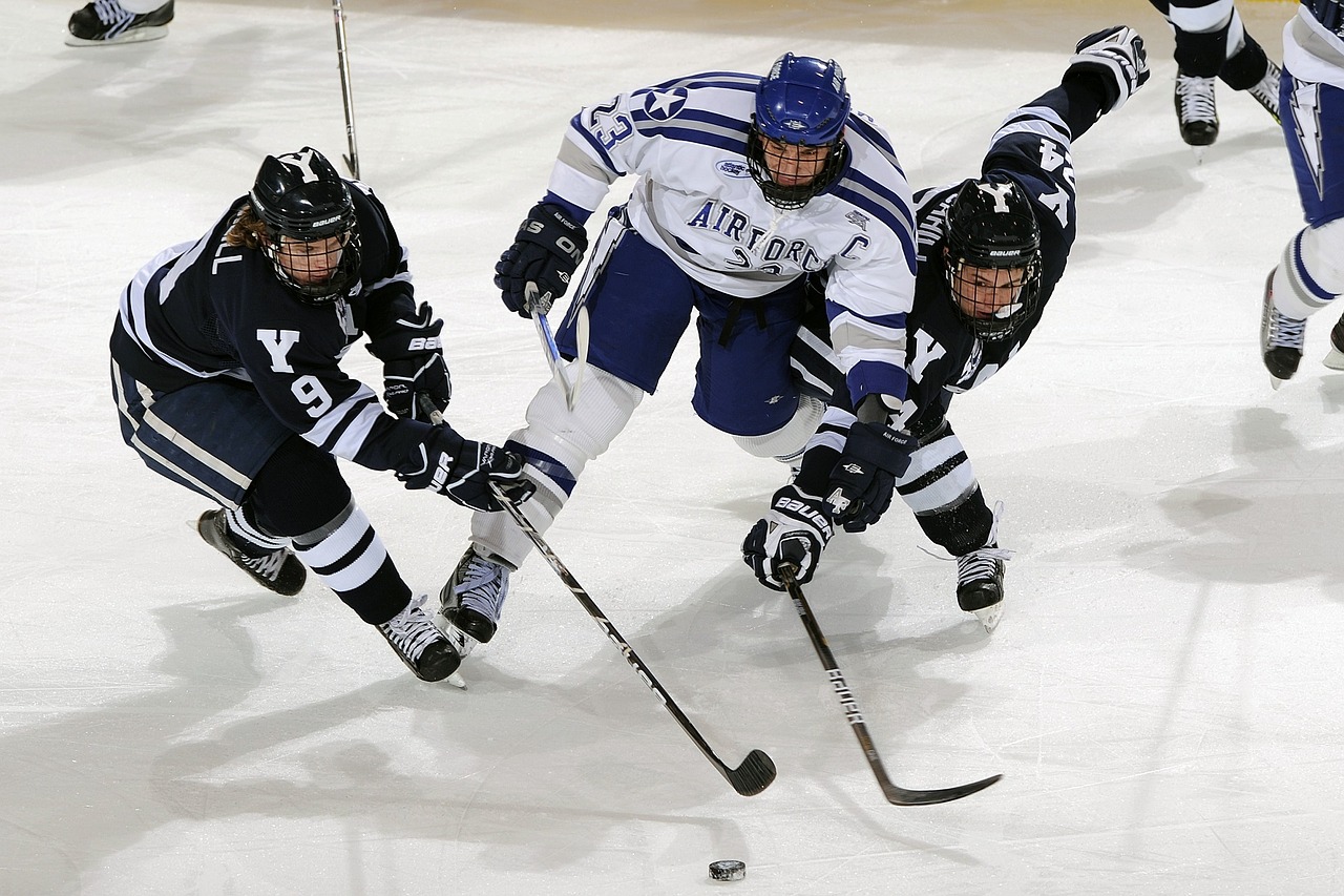 Image - ice hockey puck players game pass