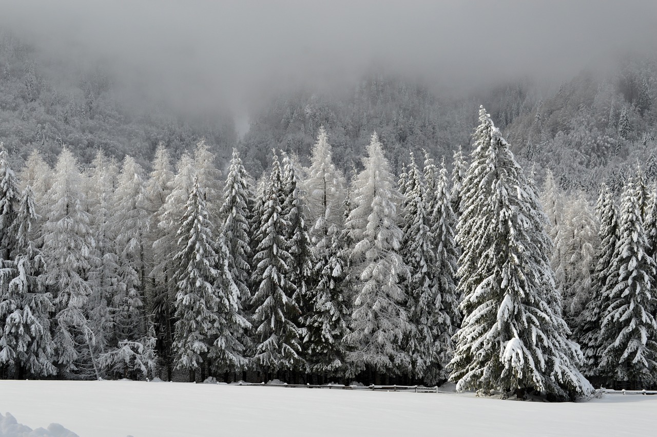 Image - winter scene mountain wonderland