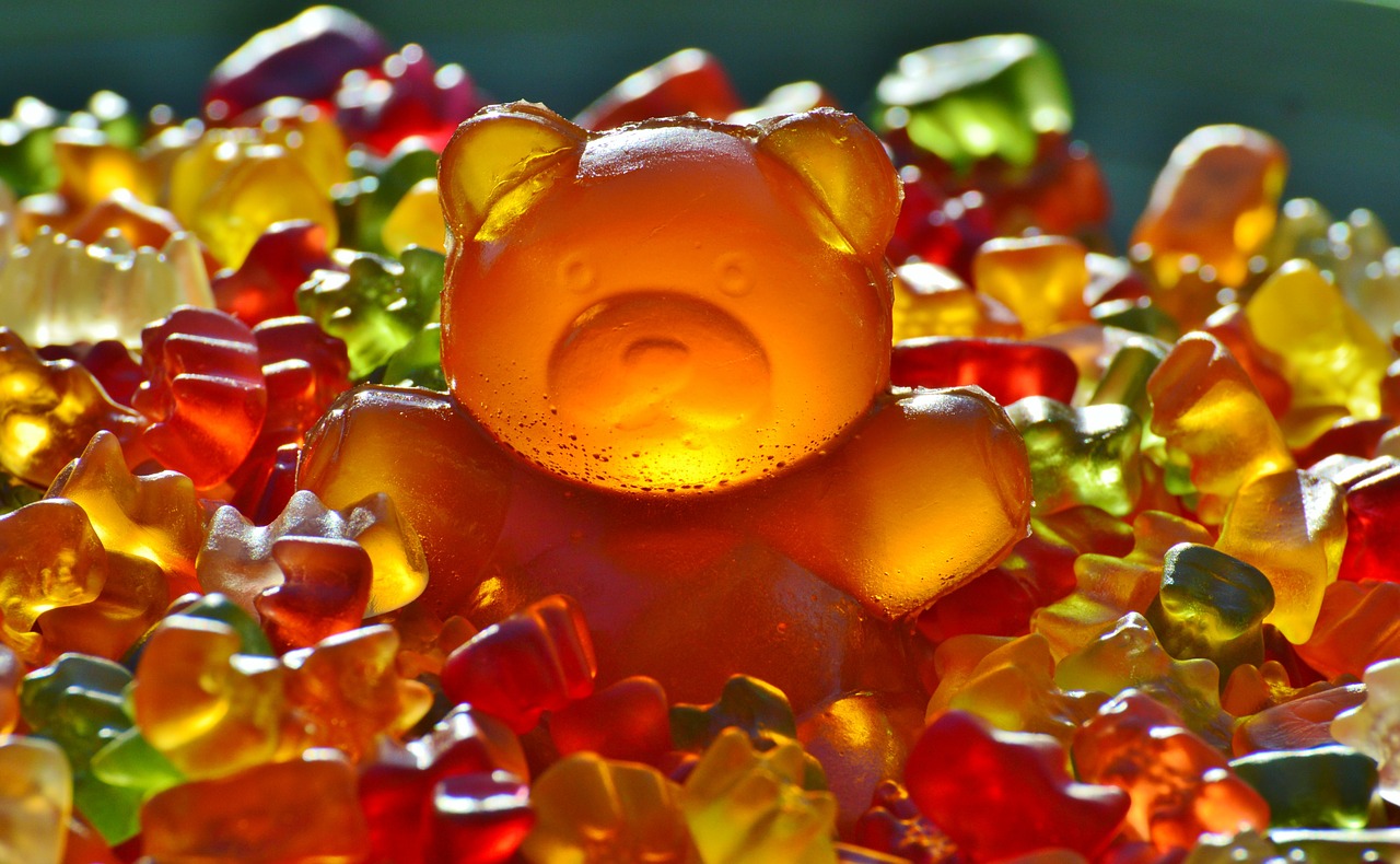 Image - giant rubber bear gummibär