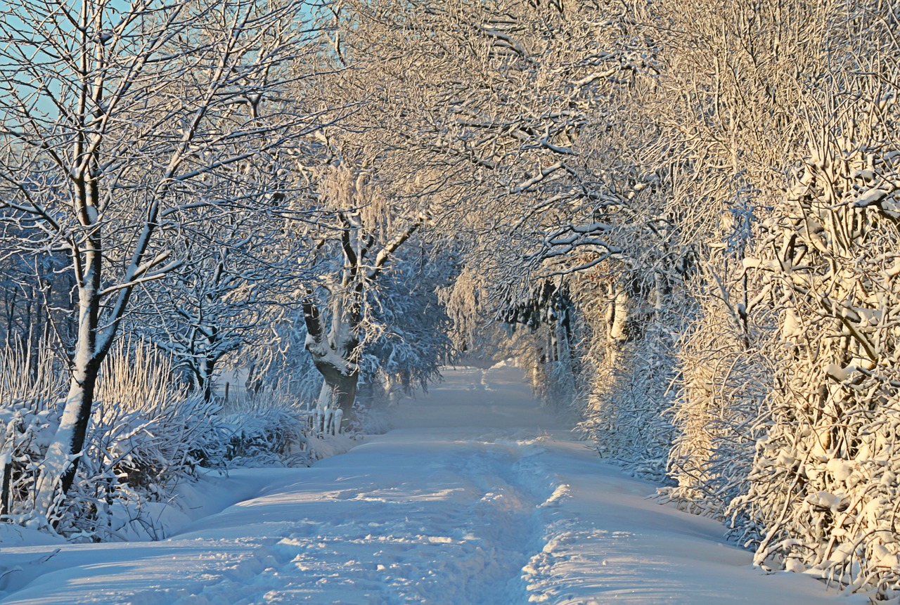 Image - winter wintry snow snow landscape