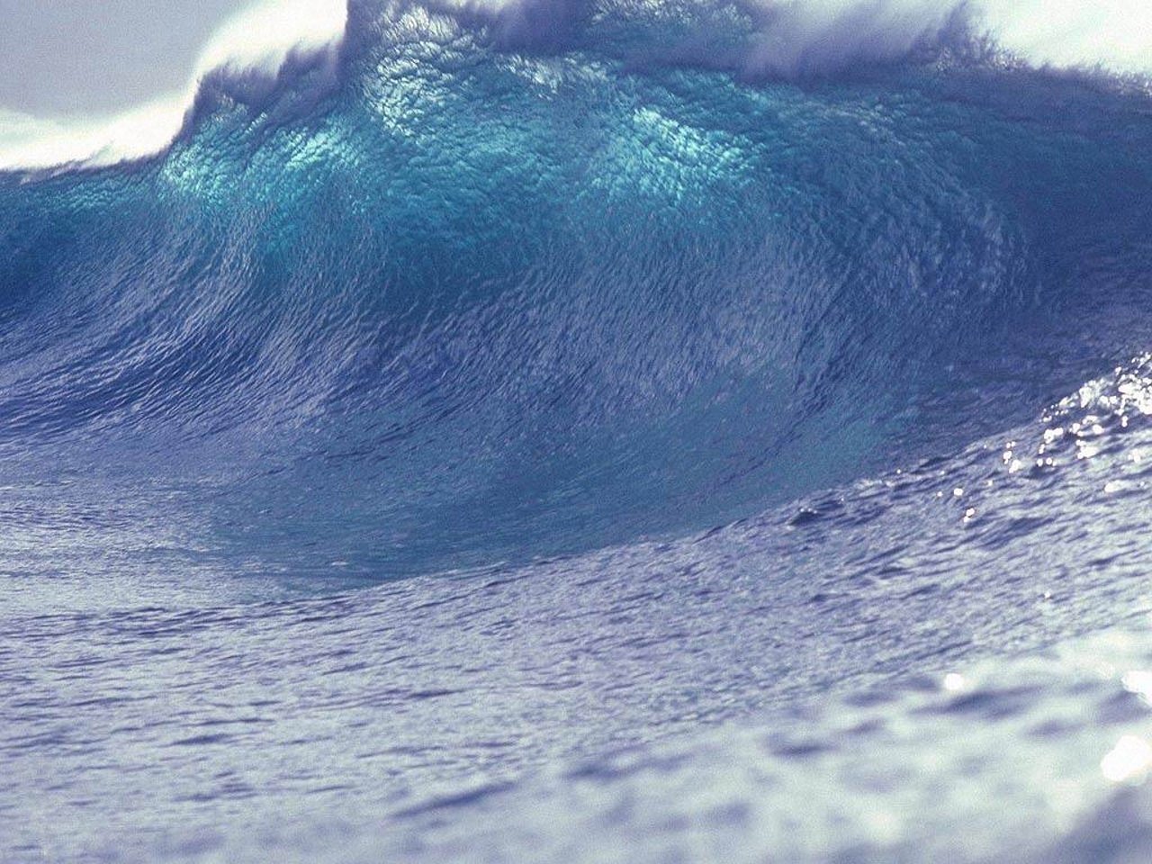 Image - wave water sea tsunami giant wave