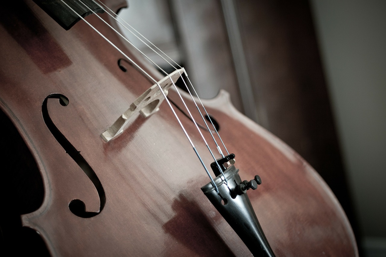 Image - cello detail instrument string