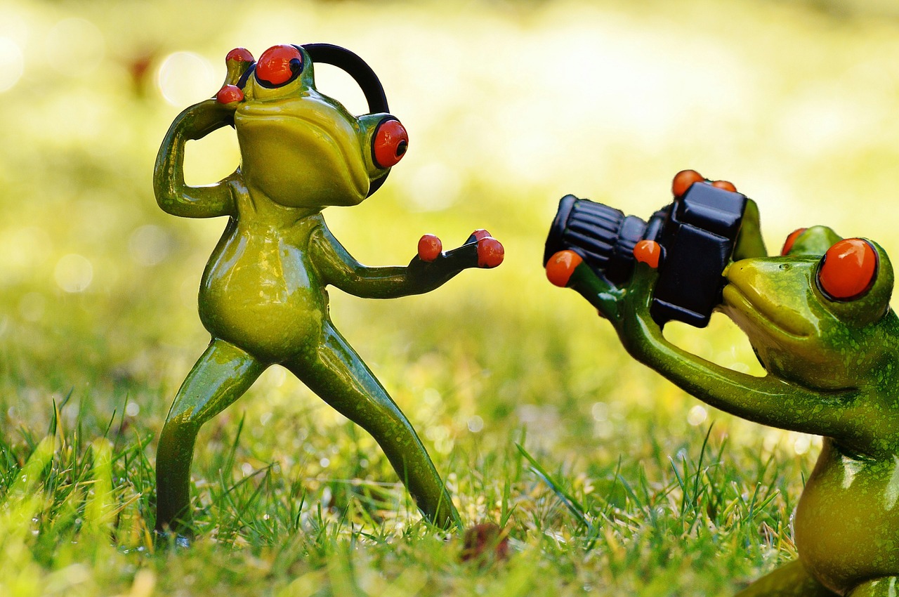 Image - frog photographer headphones