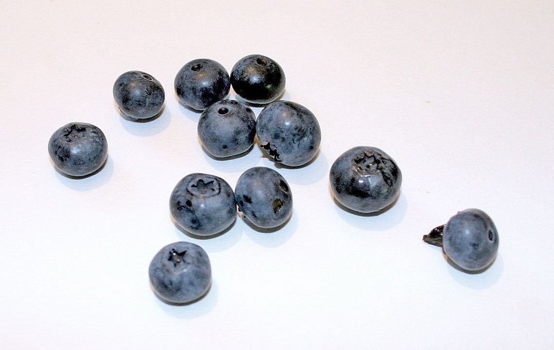 Image - blueberry black berry wild berry