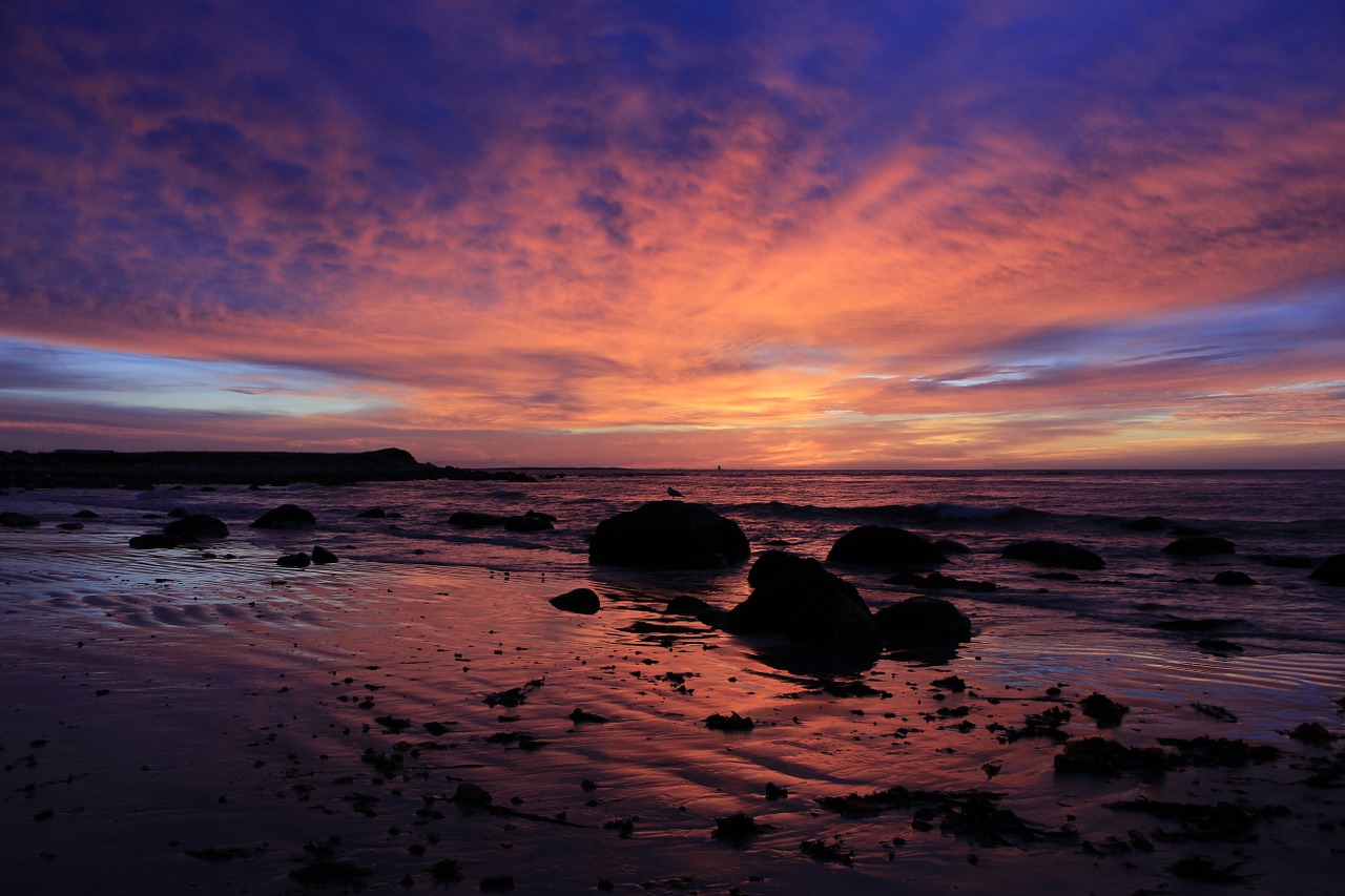 Image - sunrise beach ocean sea sky sand