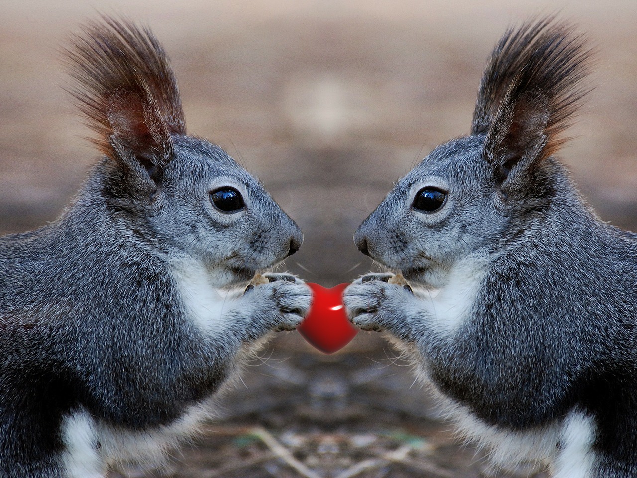 Image - squirrel animal kitsch enlarge view