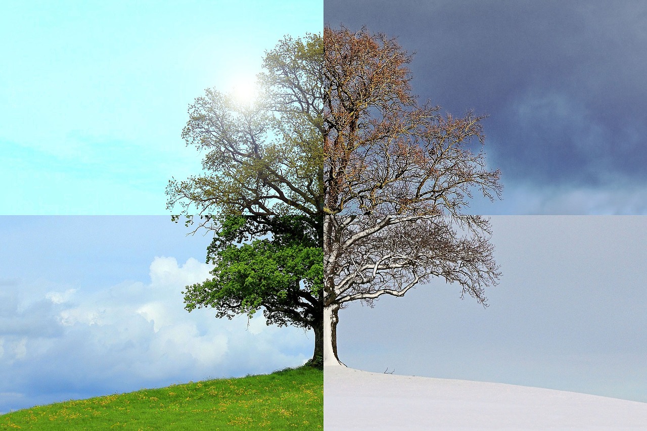 Image - seasons of the year summer autumn