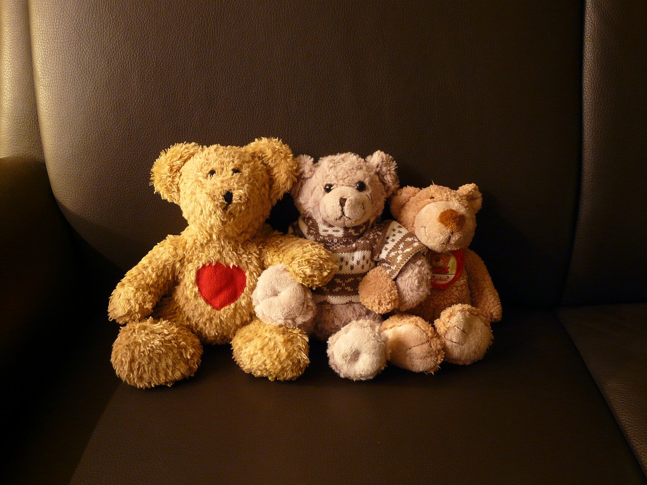 Image - teddy bears stuffed animals