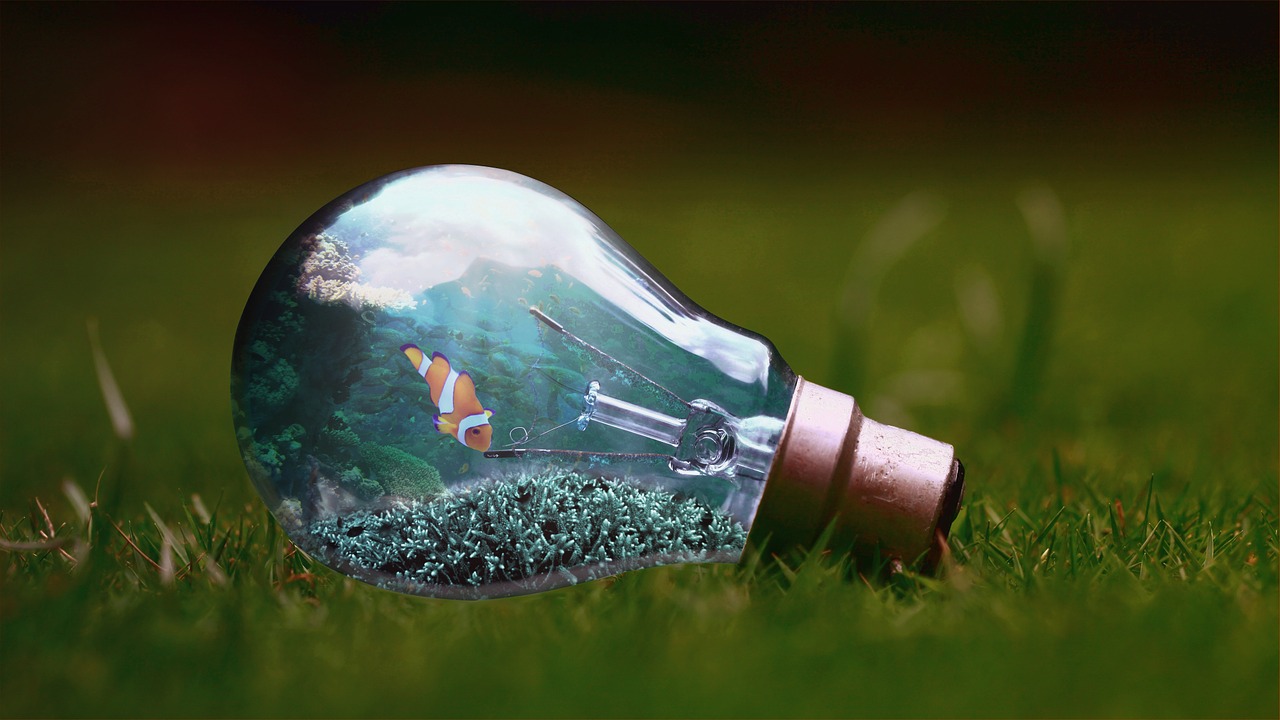 Image - light bulb fish nature water