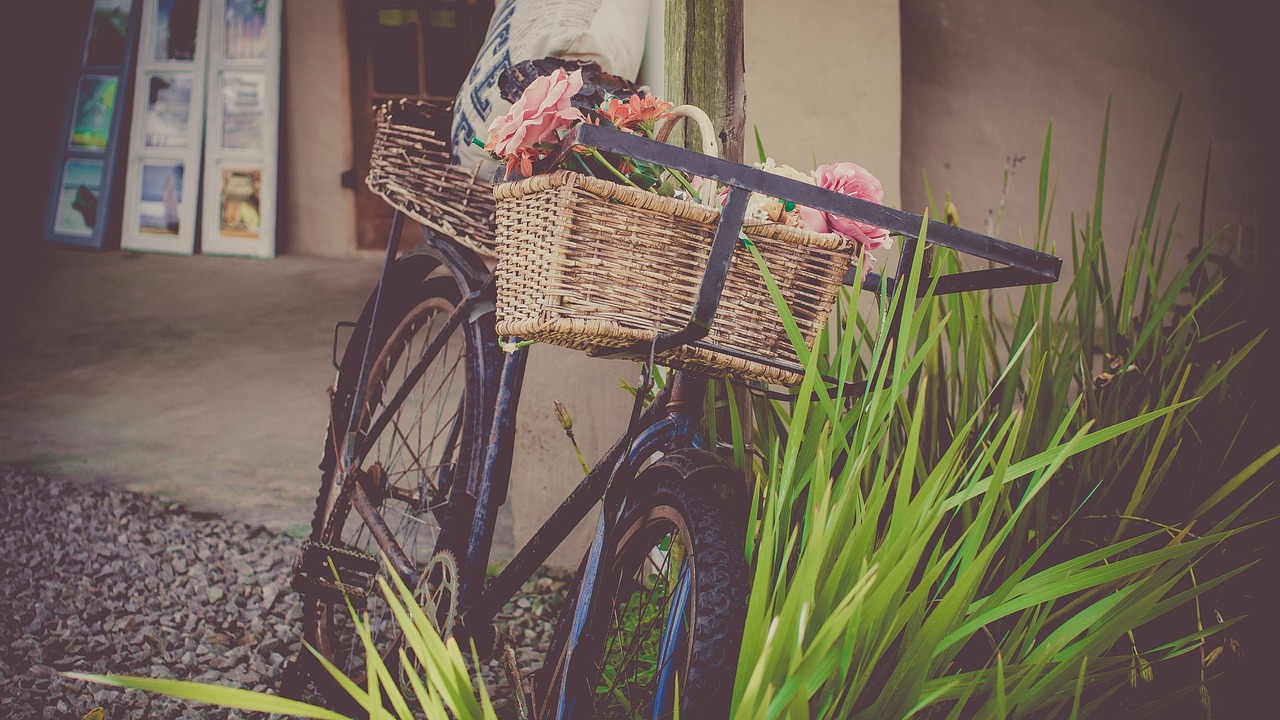 Image - bicycle flowers shop