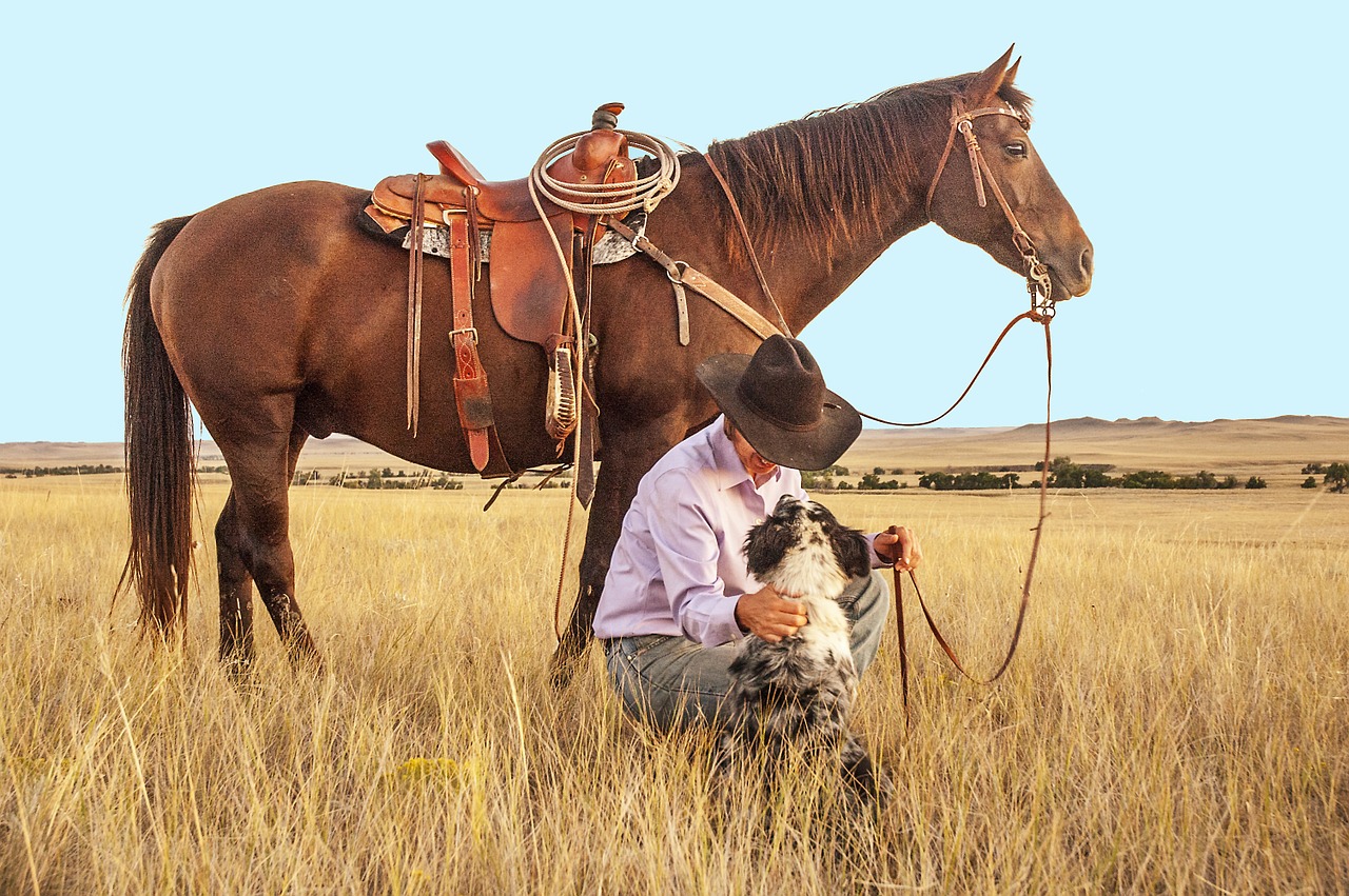 Image - cowboy horse dog pasture western