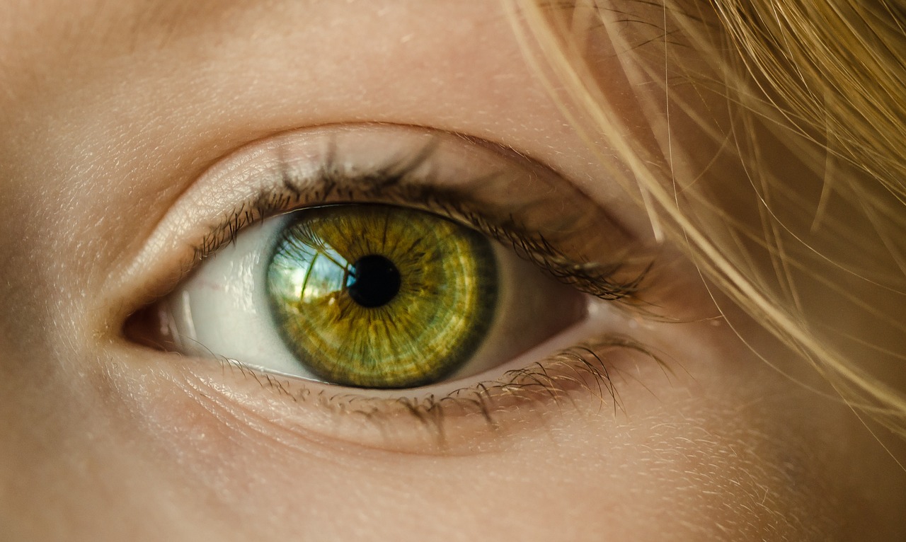 Image - eye green eye close up macro girl