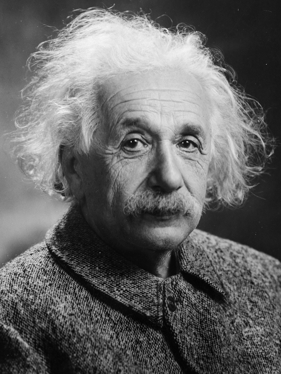 Image - albert einstein portrait