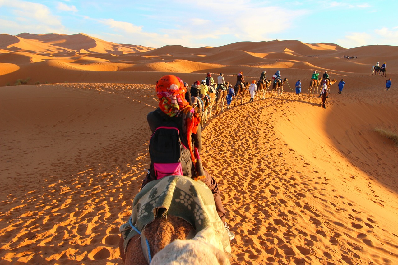 Image - caravan camels adventure sahara