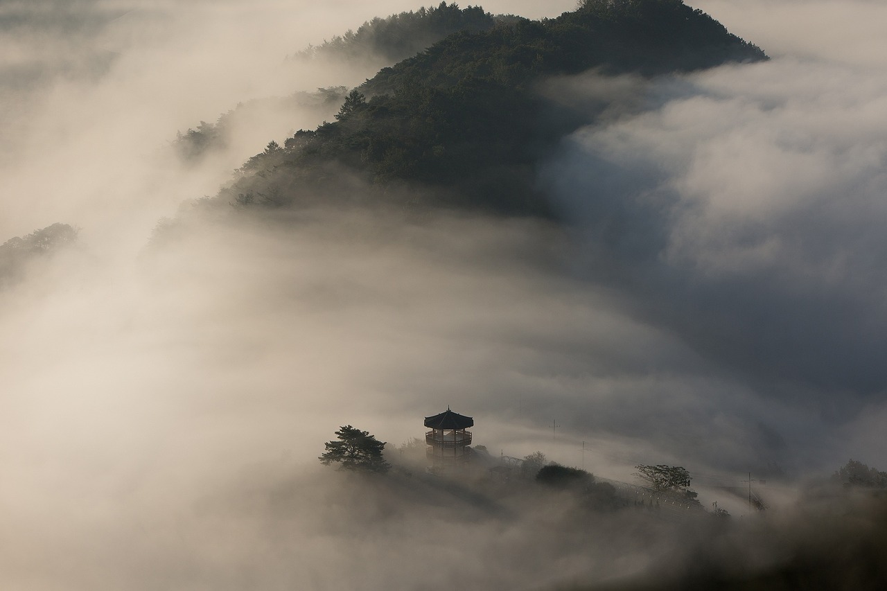 Image - climbing wood palgakjeong cloud