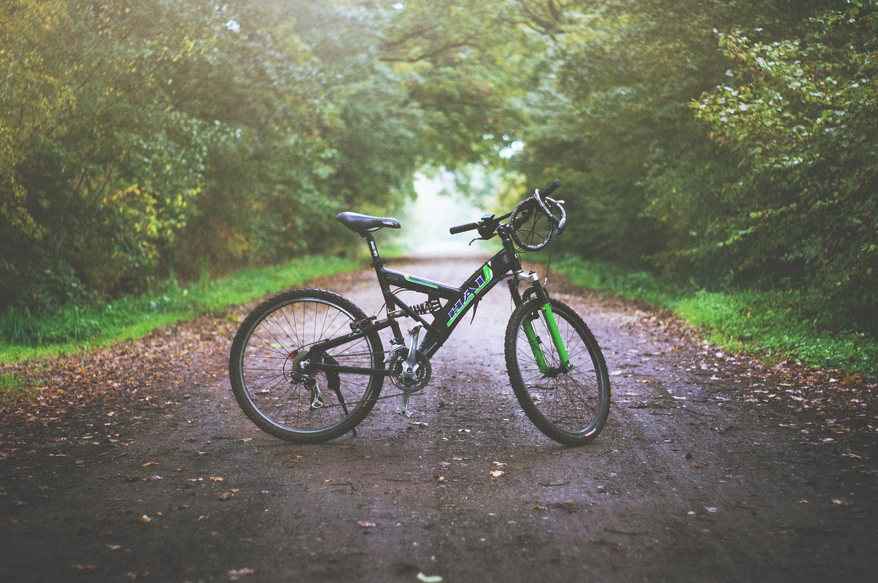 Image - mountain bike dirt road wet