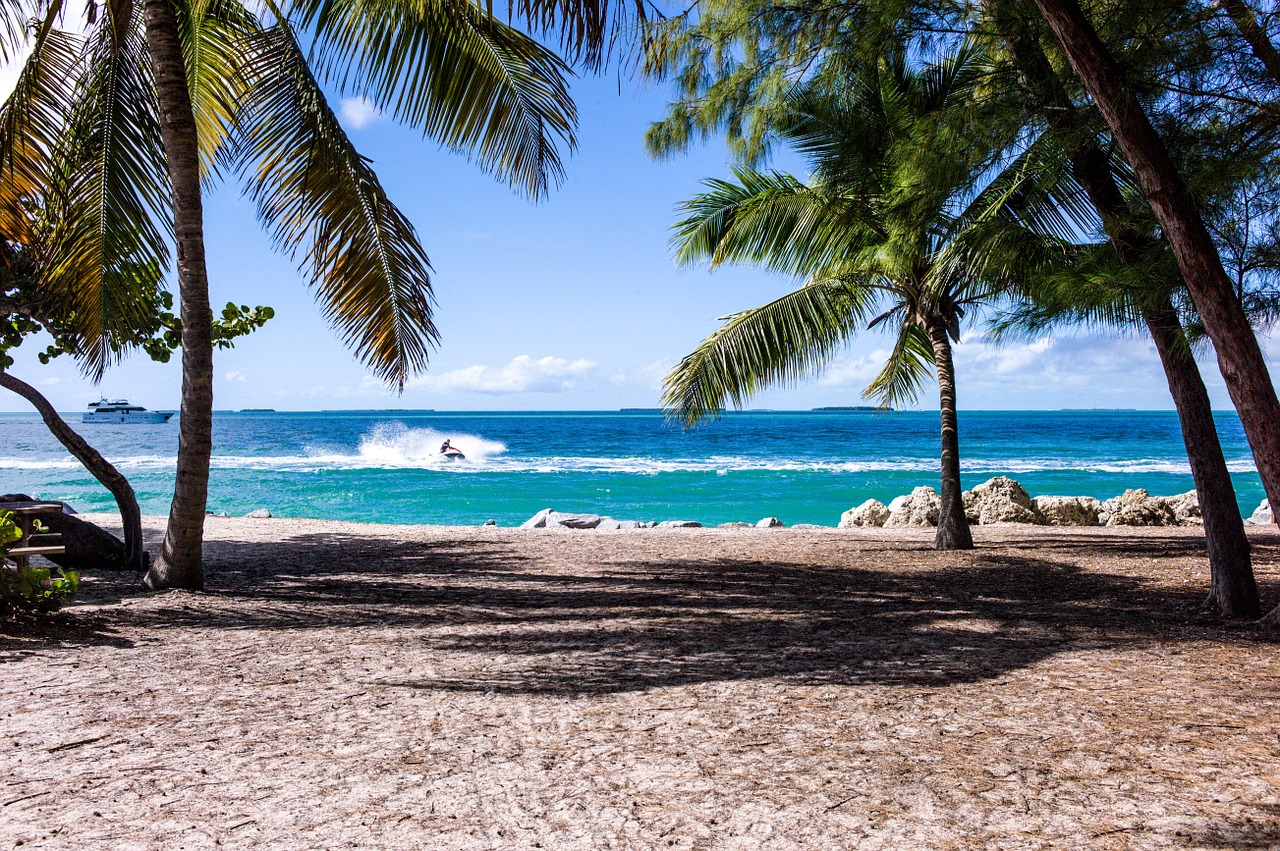 Image - beach palm trees sand ocean sea