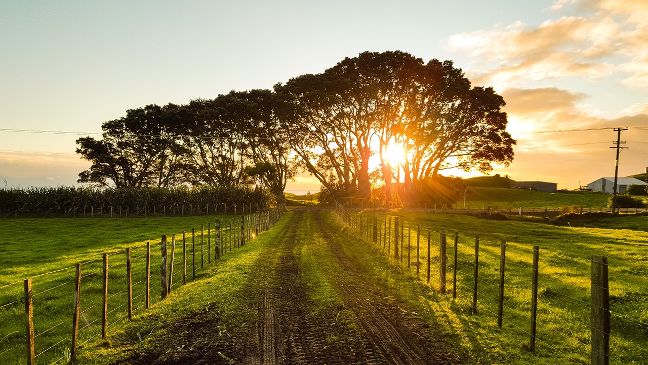 Image - countryside sunset landscape