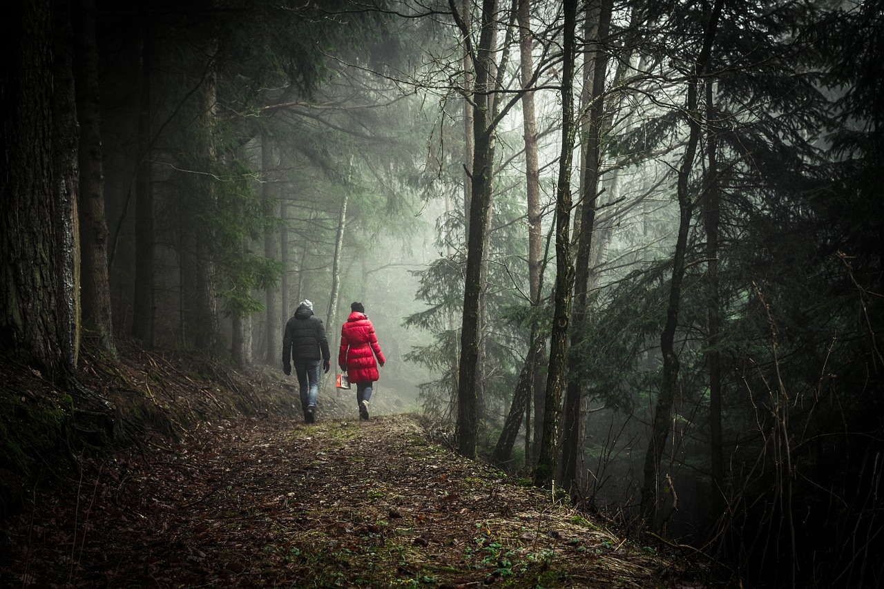 Image - walking forest couple nature green