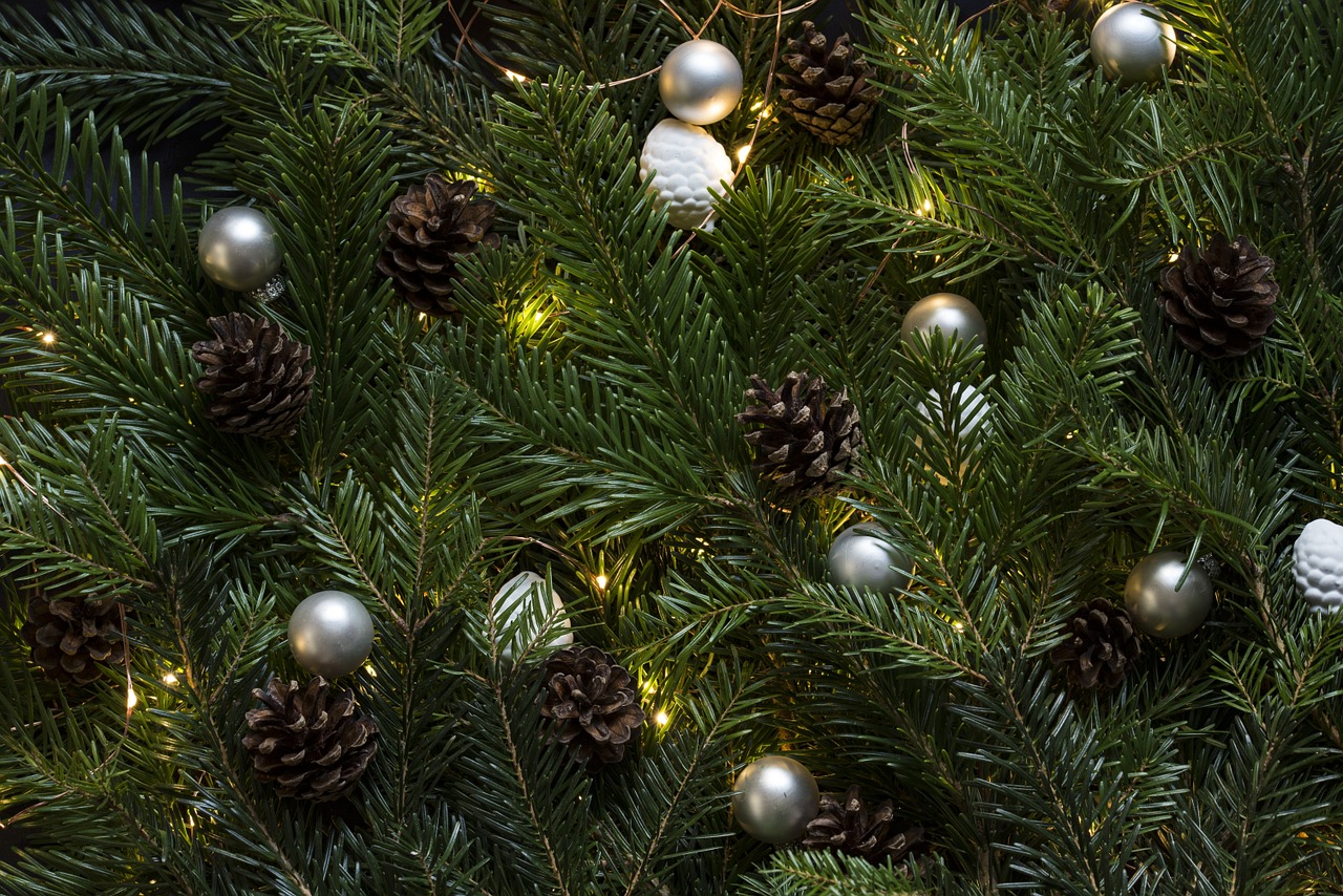 Image - pinetree christmas tree pinecones