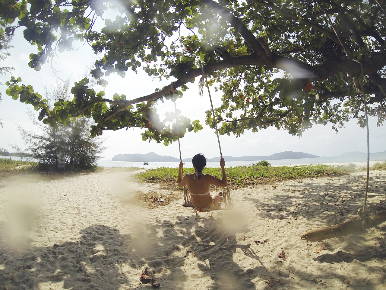 Image - tropical beach swing tree branches